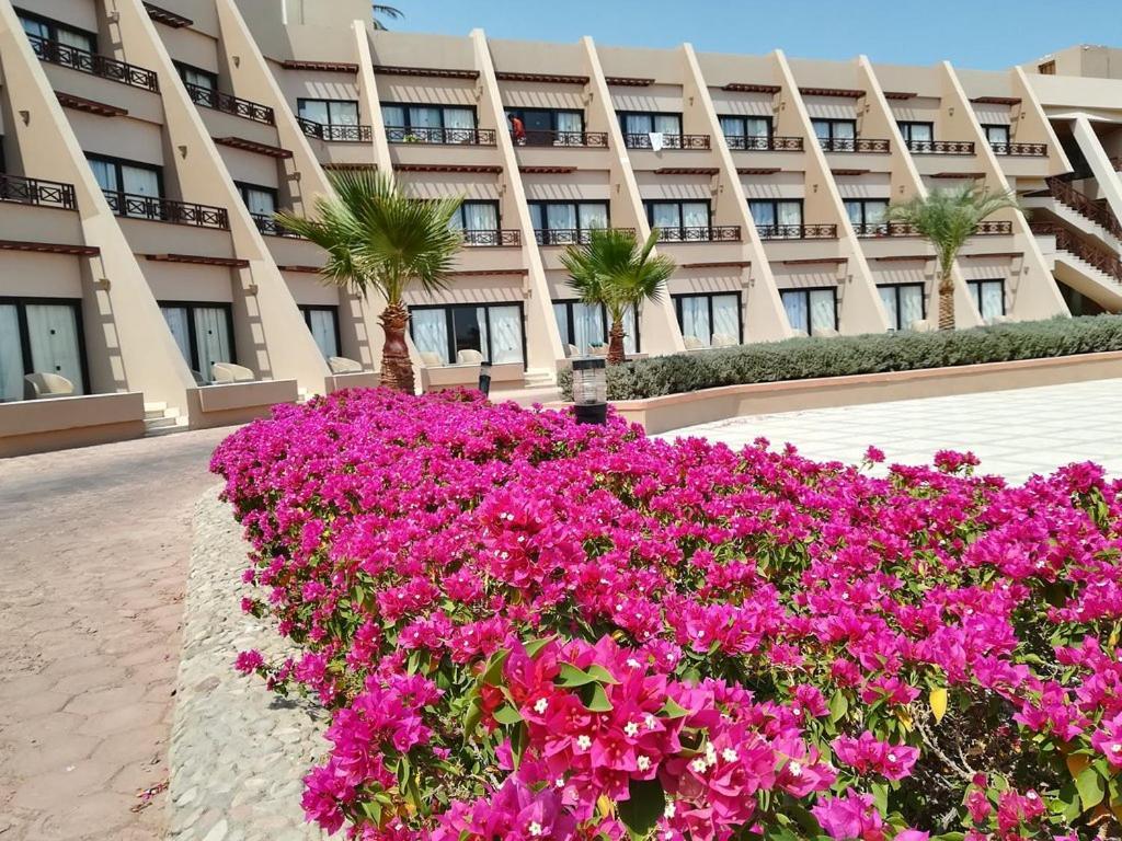 Pharaoh Azur Resort Hurghada Bagian luar foto